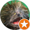 Mark Watson profile picture